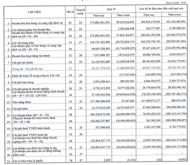 Nhờ được xoá nợ, Vitranschart (VST) báo lãi quý 4 đạt 133 tỷ đồng - Ảnh 2.
