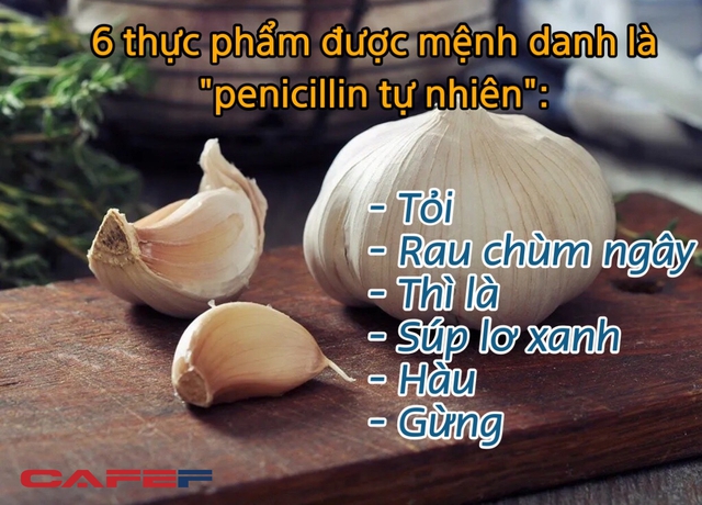 6 thực phẩm này được mệnh danh là penicillin tự nhiên, chỉ cần ngày ăn vài miếng, tế bào ung thư sẽ lặng lẽ tránh xa - Ảnh 1.