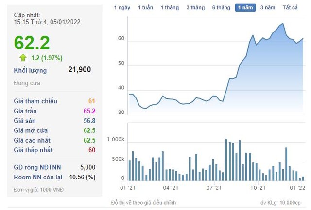 CMC Group (CMG) thông qua phương án phát hành 9 triệu cổ phiếu trả cổ tức - Ảnh 1.