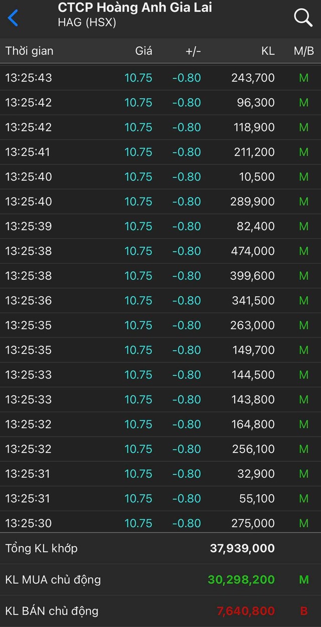 Trong 5 phút lệnh mua ồ ạt vào quét sạch chục triệu cổ phiếu HAG giá sàn, cổ đông HAGL kêu cứu Uỷ ban Chứng khoán - Ảnh 1.