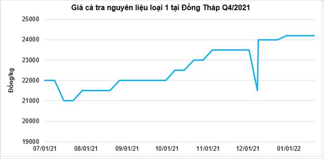 Giá cá tra nguyên liệu tăng mạnh - Ảnh 1.