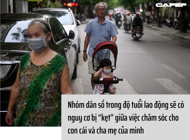 Dự báo 16,4 triệu người Việt Nam sẽ không có lương hưu vào năm 2030: Khuyến nghị thiết lập khoản hưu trí lấy từ nguồn thuế - Ảnh 2.