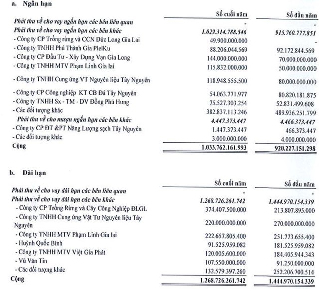 Đức Long Gia Lai (DLG): Năm 2021 lãi 14 tỷ đồng, liệu có thoát án huỷ niêm yết? - Ảnh 2.