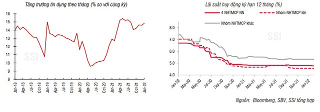 SSI: Tăng trưởng tín dụng tháng 1 mạnh nhất 10 năm - Ảnh 1.