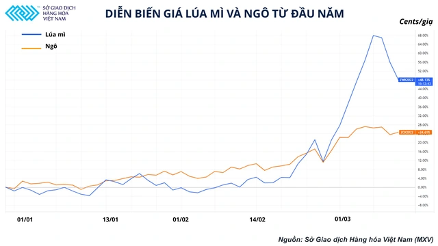 Doanh nghiệp chăn nuôi tiến thoái lưỡng nan vì giá nguyên liệu leo thang - Ảnh 1.