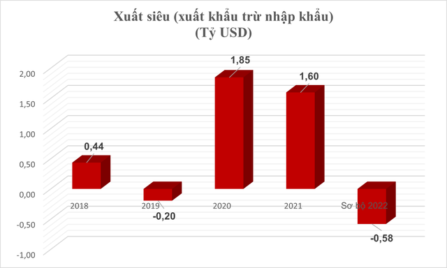 Nhập khẩu hơn 1 tỷ USD xăng dầu trong 2 tháng đầu năm - Ảnh 3.