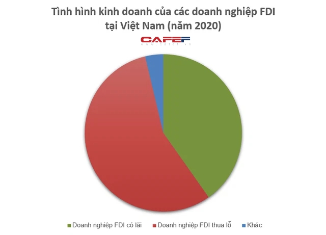 Doanh nghiệp FDI tăng doanh thu vẫn đua nhau báo lỗ, Shopee âm vốn chủ sở hữu cả nghìn tỷ - Ảnh 1.