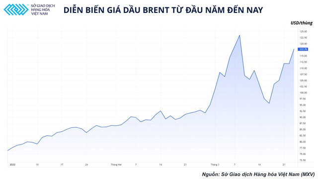 Hướng đi nào cho thị trường dầu thô thế giới? - Ảnh 1.