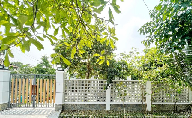 [ Tuổi 30, tôi có 1 căn nhà ] Bỏ 1,2 tỷ đồng xây lại nhà 200m2, mẹ đơn thân thu nhập 3x triệu/tháng tận hưởng không gian xanh giữa Sài thành - Ảnh 2.