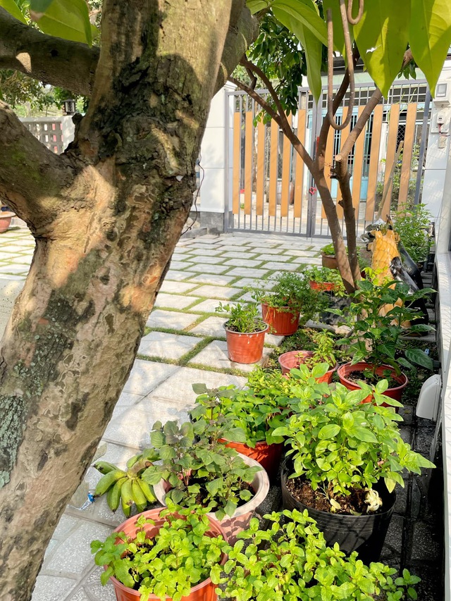 [ Tuổi 30, tôi có 1 căn nhà ] Bỏ 1,2 tỷ đồng xây lại nhà 200m2, mẹ đơn thân thu nhập 3x triệu/tháng tận hưởng không gian xanh giữa Sài thành - Ảnh 28.
