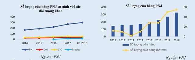 Bước chân vào thị trường trang sức, liệu Thế giới Di động có thể thành công được như PNJ đã từng - Ảnh 1.