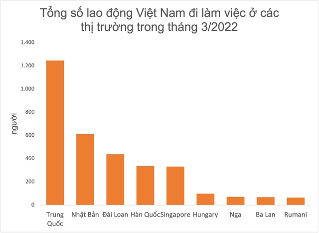 Sau bản ghi nhớ tiếp nhận lao động Việt Nam của Australia, mức lương đến 66 triệu đồng/tháng, Bộ LĐTB&XH tiếp tục thúc đẩy ký kết thỏa thuận hợp tác với các nước - Ảnh 1.