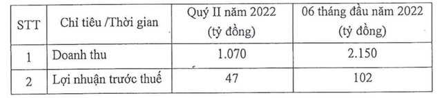 Pinaco (PAC): Quý 1 ước lãi 55 tỷ đồng, đi ngang so với cùng kỳ năm ngoái - Ảnh 2.