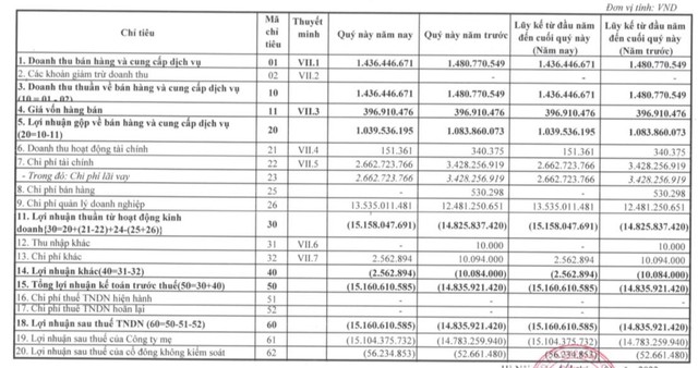 Hakinvest (HKB): Quý 1 lỗ tiếp 15 tỷ đồng – quý thứ 9 liên tiếp thua lỗ - Ảnh 1.