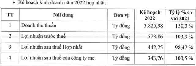 Đạt Phương (DPG) đặt mục tiêu lãi sau thuế năm 2022 giảm nhẹ về 442 tỷ đồng, đề xuất chia cổ tức năm 2021 tỷ lệ 10% - Ảnh 1.