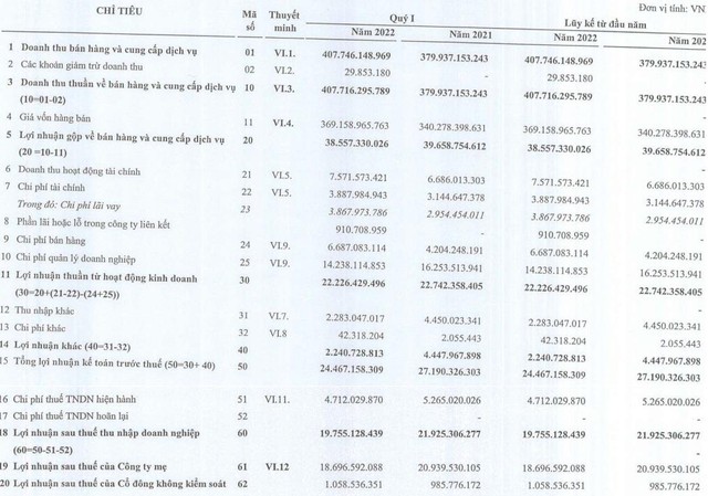 Dược phẩm Hà Tây (DHT) báo lãi trước thuế quý 1/2022 hoàn thành gần 40% kế hoạch năm - Ảnh 1.