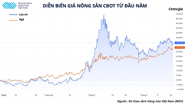 Giá nông sản vẫn ở mức đỉnh nhiều năm, giải pháp nào cho các nước nhập khẩu? - Ảnh 1.