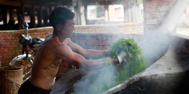 Hy hữu: Cả làng PHÁT TÀI sau 1 đêm, nhà ai sở hữu cỗ máy in tiền này thì đếm bạc mỏi tay - Ảnh 3.