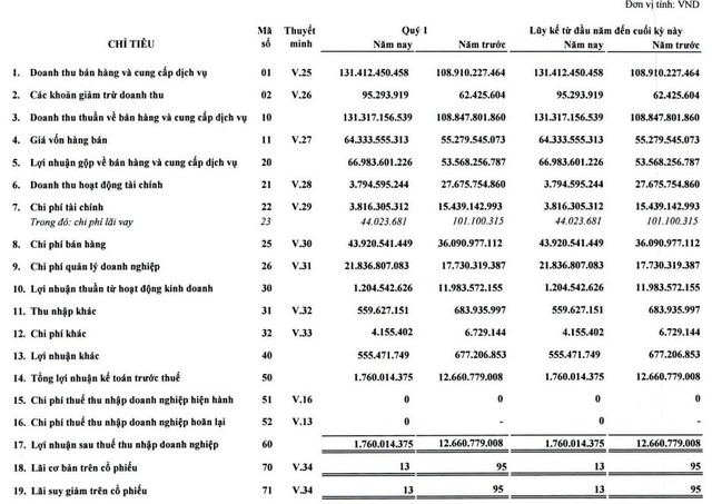 SASCO (SAS) báo lợi nhuận quý 1/2022 chỉ bằng 1/7 cùng kỳ do khoản thu từ cổ tức được chia sụt giảm - Ảnh 1.