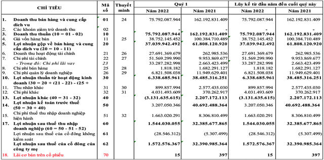 Gánh nặng chi phí tài chính, Năm Bảy Bảy (NBB) báo lãi quý 1/2022 giảm 95% so với cùng kỳ, dòng tiền đầu tư âm gần 1.300 tỷ - Ảnh 2.