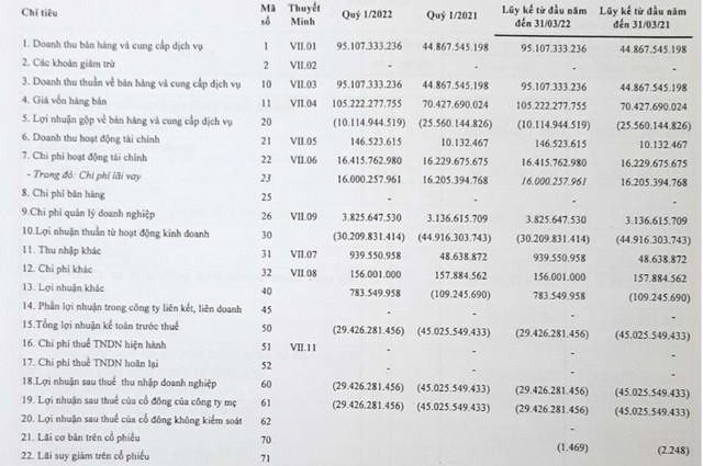 Sau quý 4/2021 có lãi, Vận tải biển Phương Đông (NOS) trở lại báo lỗ 29 tỷ đồng trong quý 1/2022 - Ảnh 1.