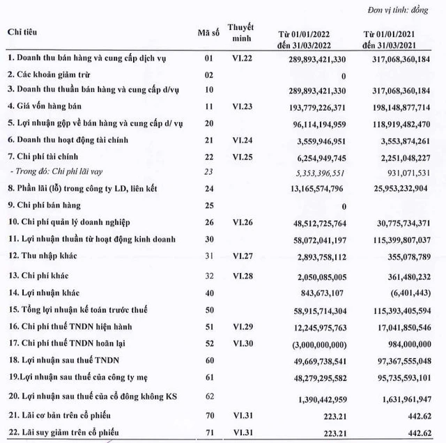 Dịch vụ khai thác cảng giảm, Cảng Sài Gòn (SGP) báo lãi quý 1/2022 giảm gần một nửa so với cùng kỳ năm ngoái - Ảnh 1.