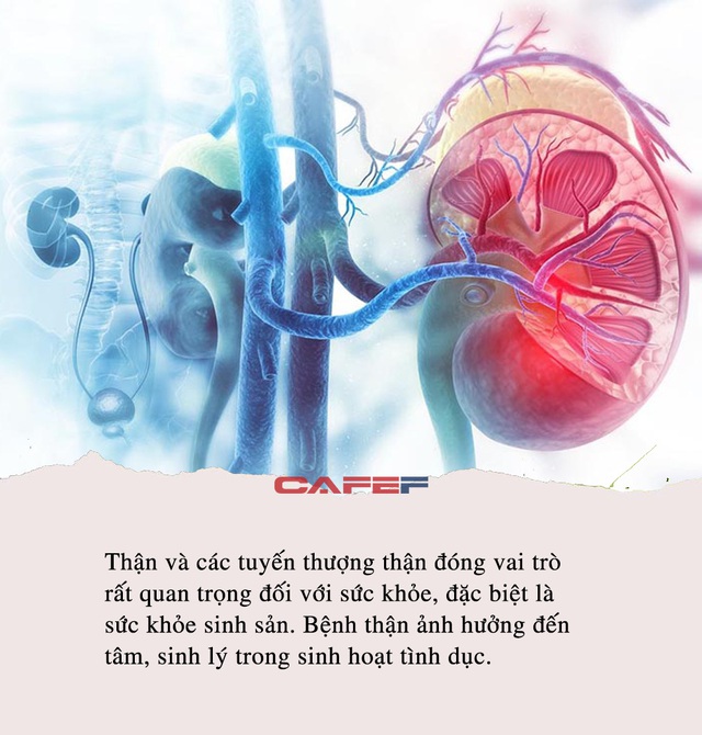 2 loại thịt, 3 loại rau là “cao thủ nuôi thận”, nam giới ăn càng nhiều thì U50 hay U60 đều trẻ khỏe, dẻo dai, tràn trề sinh lực - Ảnh 1.