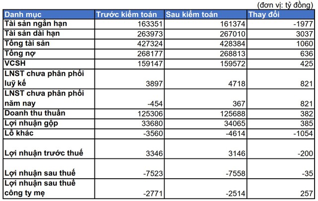 Lợi nhuận sau thuế chưa phân phối của VinGroup tăng 821 tỷ đồng sau kiểm toán - Ảnh 3.