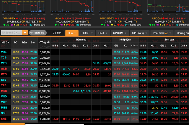 Đánh rơi 63 điểm, vốn hoá HOSE bốc hơi 10,8 tỷ USD: Điều gì đang xảy ra với chứng khoán Việt? - Ảnh 1.