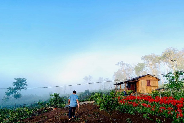 Xu hướng bỏ phố về rừng làm homestay, farmstay, đam mê thực sự hay chỉ là kinh doanh nhất thời? - Ảnh 1.