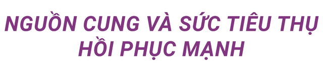 Nhu cầu đầu tư biệt thự, nhà phố lớn, khu vực nào là tâm điểm của thị trường? - Ảnh 1.