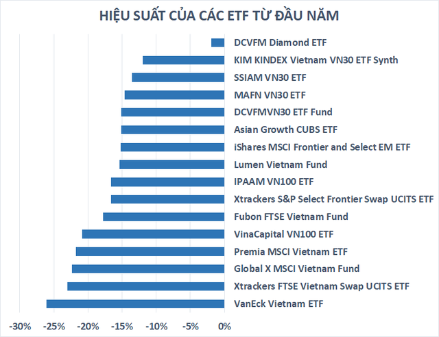 Vì sao Diamond ETF vượt trội hầu hết quỹ đầu tư bất kể thị trường nắng hay mưa? - Ảnh 2.