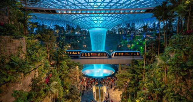 Đẳng cấp sân bay tốt nhất thế giới: Có rừng nhiệt đới hơn 2.000 cây xanh, kiến trúc vượt xa thời đại, là địa điểm du lịch không thể bỏ qua - Ảnh 2.