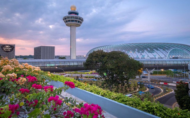 Đẳng cấp sân bay tốt nhất thế giới: Có rừng nhiệt đới hơn 2.000 cây xanh, kiến trúc vượt xa thời đại, là địa điểm du lịch không thể bỏ qua - Ảnh 1.