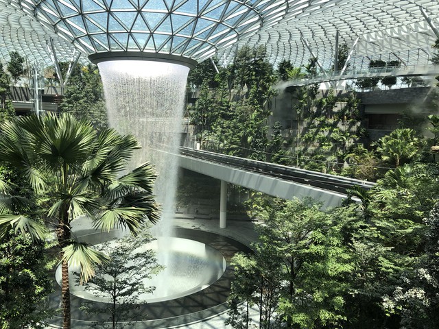Đẳng cấp sân bay tốt nhất thế giới: Có rừng nhiệt đới hơn 2.000 cây xanh, kiến trúc vượt xa thời đại, là địa điểm du lịch không thể bỏ qua - Ảnh 3.