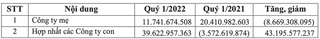 S55 lãi 40 tỷ đồng quý 1/2022, tăng mạnh so với cùng kỳ nhờ nhà máy Nậm Bụm 1,2 phát điện - Ảnh 1.