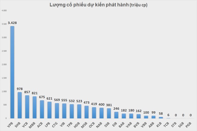 Ngân hàng dự kiến phát hành hơn 12 tỷ cổ phiếu trong năm nay - Ảnh 2.