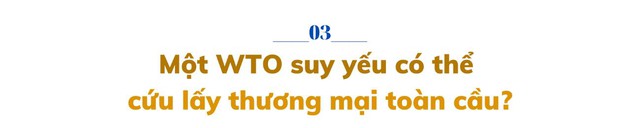 Từng được coi là xu thế tất yếu mang lại sung túc cho hàng tỷ người, thế giới đang phải nỗ lực giải cứu thương mại toàn cầu - Ảnh 5.