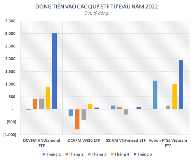 Dòng vốn bùng nổ qua các quỹ ETF, nhà đầu tư sắp có thêm lựa chọn với “khẩu vị” MIDCAP - Ảnh 1.