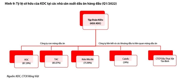 Xu hướng giảm giá dầu cọ trong nửa cuối năm 2022 hỗ trợ biên lợi nhuận của các doanh nghiệp sản xuất dầu ăn - Ảnh 7.