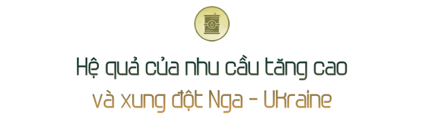 Cơn khát dầu đẩy các quốc gia mới nổi chìm sâu vào vòng xoáy không hồi kết: Khủng hoảng kinh tế, lạm phát và mất niềm tin  - Ảnh 1.