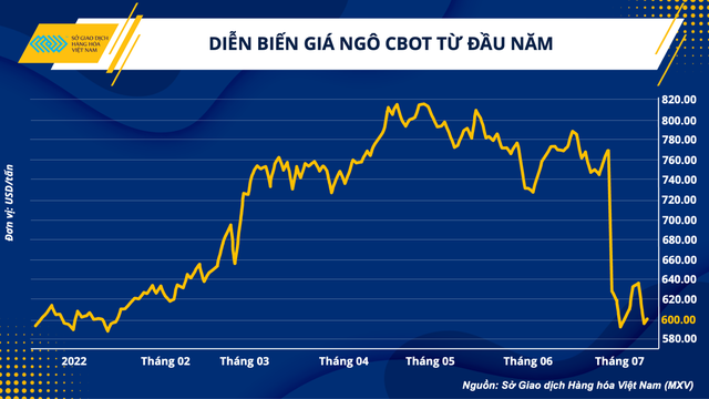 Giá nguyên liệu hạ nhiệt, ngành chăn nuôi sắp bước vào giai đoạn dễ thở hơn - Ảnh 1.