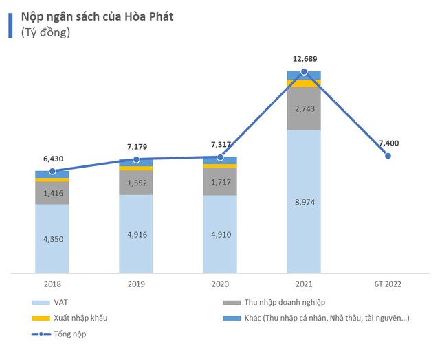 Nộp ngân sách cả chục nghìn tỷ đồng, Hòa Phát đóng những loại thuế gì? - Ảnh 1.