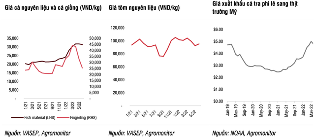 SSI Research: Tăng trưởng xuất khẩu thuỷ sản bắt đầu giảm tốc trong quý 3, lợi nhuận Vĩnh Hoàn (VHC) đã đã đỉnh trong 6 tháng đầu năm 2022 - Ảnh 2.