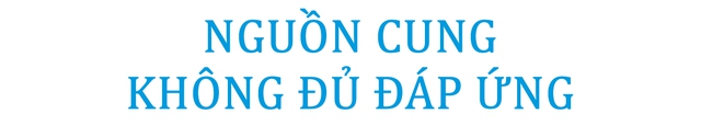 Giá nhà ở vẫn tăng trong bối cảnh thị trường chững lại, nguyên nhân do đâu? - Ảnh 1.