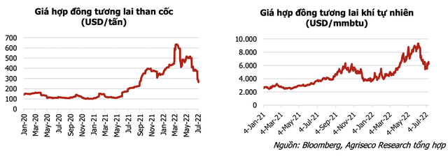 Giá cả hàng hoá đảo chiều, cổ phiếu Thép, Dầu khí, Phân bón, Chăn nuôi sẽ diễn biến ra sao trong nửa cuối năm? - Ảnh 2.