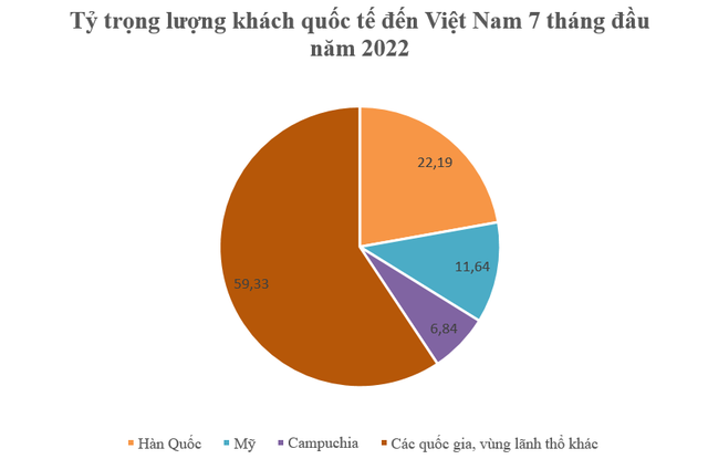 Khách quốc tế đến Việt Nam 7 tháng đầu năm tăng 10 lần so với cùng kỳ, dòng khách từ đâu đổ về nhiều nhất? - Ảnh 2.