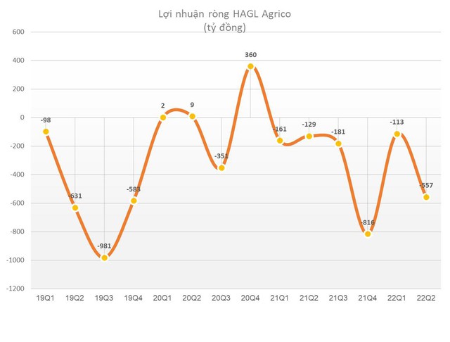 HAGL Agrico (HNG) lỗ 557 tỷ đồng trong quý 2, nâng tổng số lỗ luỹ kế lên hơn 4.000 tỷ đồng - Ảnh 4.