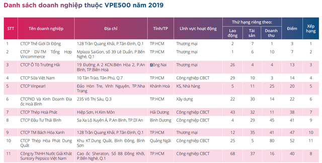 Lộ diện top 10 doanh nghiệp tư nhân lớn nhất Việt Nam - Ảnh 2.